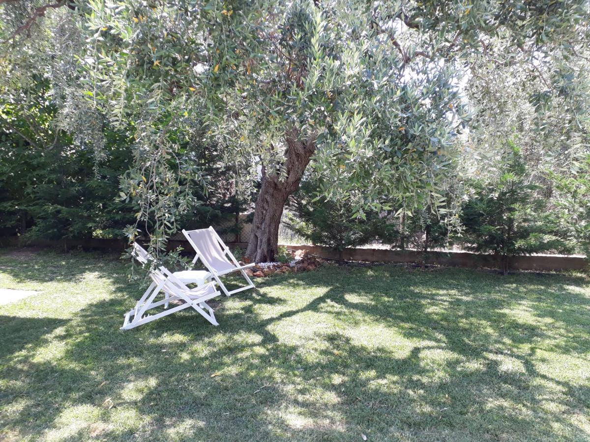 Villa Elia Skala Sotiros Exterior photo